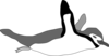 Swimming Penguin Clip Art